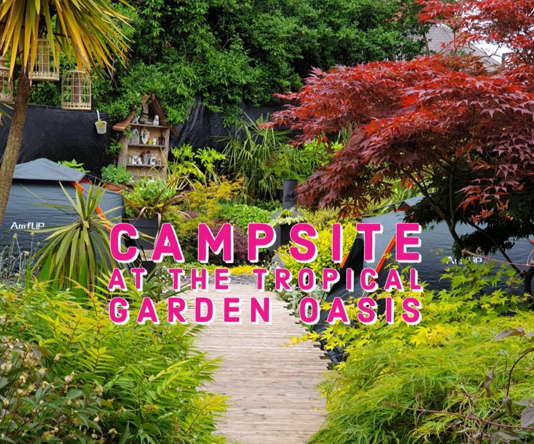 Tropical Garden Oasis Rooms Birmingham Quarto foto